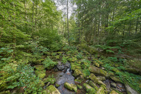 Gemeinde Waldkirchen Landkreis Freyung-Grafenau Saußbachklamm (Dirschl Johann) Deutschland FRG